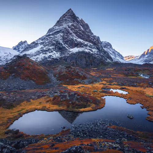 Wilderness To Blockchain Editions