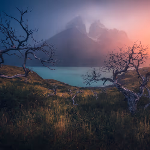 Wilderness To Blockchain Editions