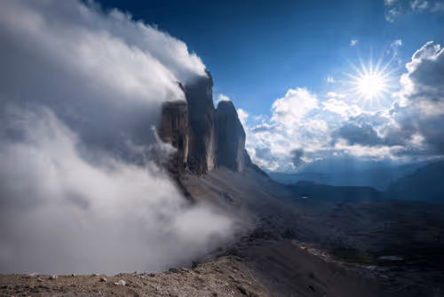 Wilderness To Blockchain Editions
