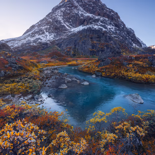 Wilderness To Blockchain Editions