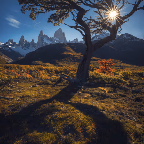 Wilderness To Blockchain Editions