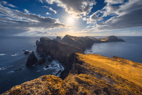 Wilderness To Blockchain Editions