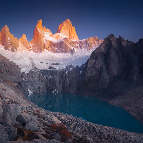 Wilderness To Blockchain Editions