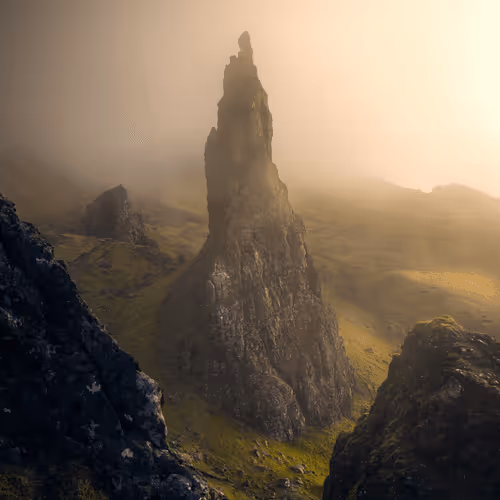 Wilderness To Blockchain Editions