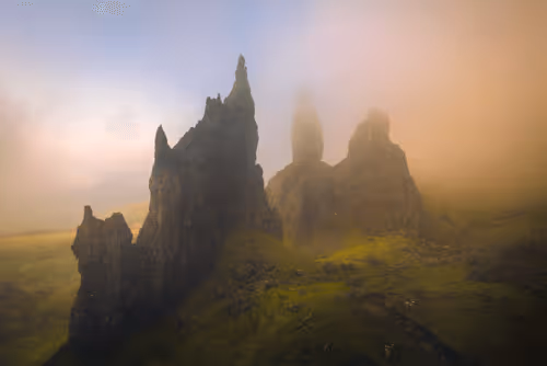 Wilderness To Blockchain Editions