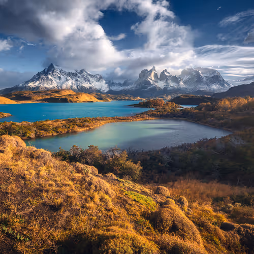 Wilderness To Blockchain Editions