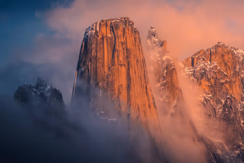 Wilderness To Blockchain Editions