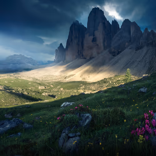Wilderness To Blockchain Editions