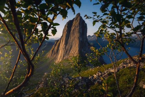 Wilderness To Blockchain Editions