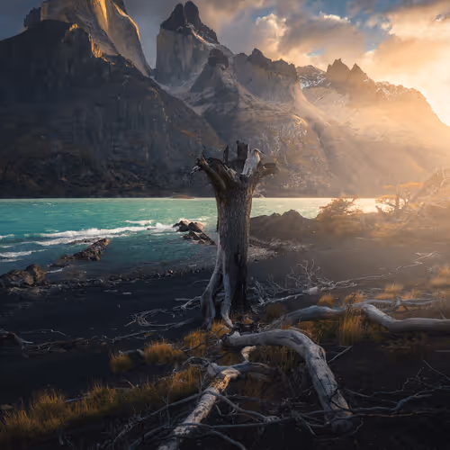 Wilderness To Blockchain Editions