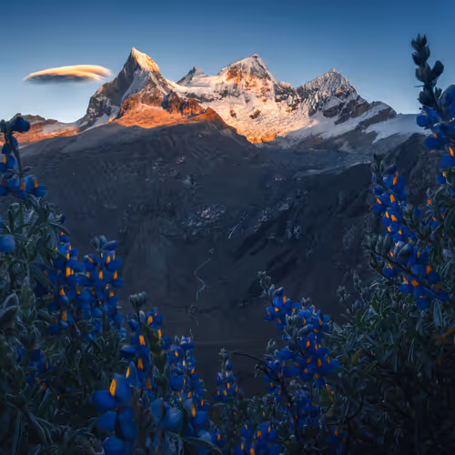 Wilderness To Blockchain Editions