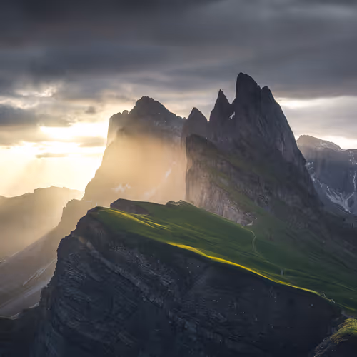 Wilderness To Blockchain Editions