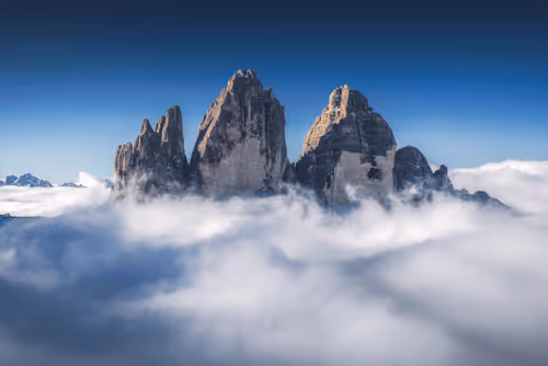 Wilderness To Blockchain Editions