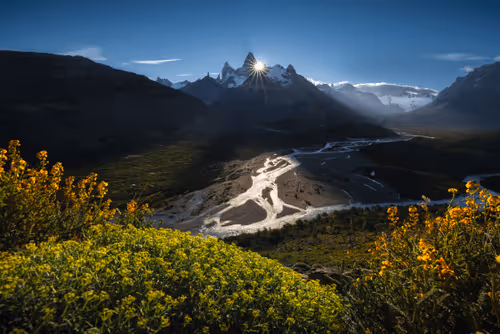 Wilderness To Blockchain Editions