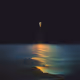 Golden Tide by Fran Rodriguez
