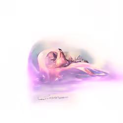 Resurrection #3546