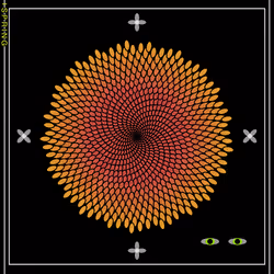 254