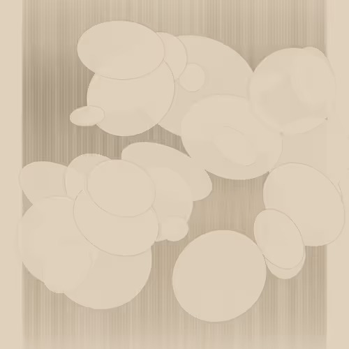 Item #24 Media