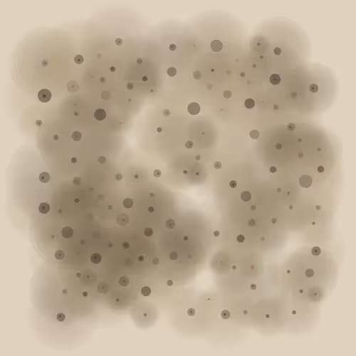 Item #13 Media