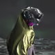1050