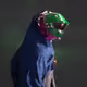 2045