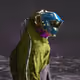1084