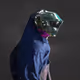 1285