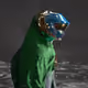 2076