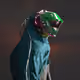 291