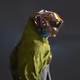 2091