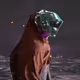 1138