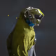 1752