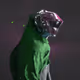 261