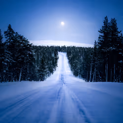 The Moonlit Journey #6/20