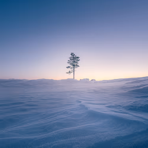 Tales Of The North