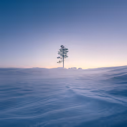 The North Awakens #19/50