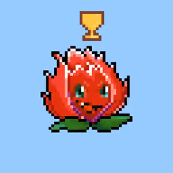 Pitaya #9588