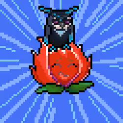 Pitaya #13651