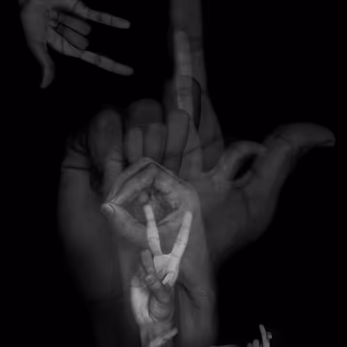 Transcendingsilences