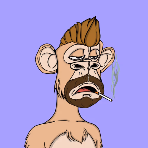 V1 Punkdapes