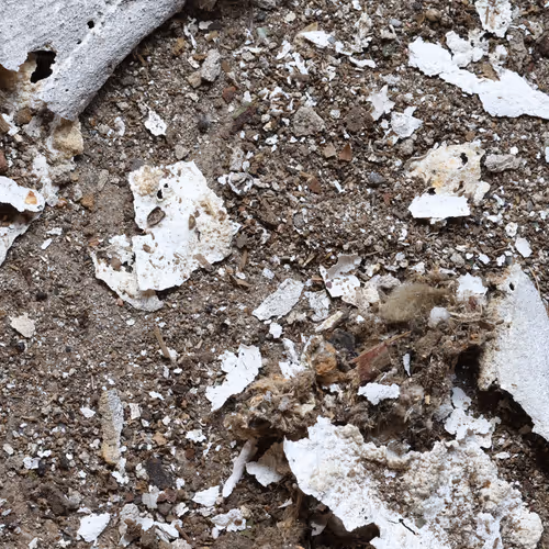 Beta Test - HistoricEvent