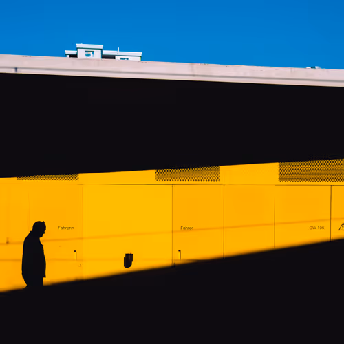 Rodrigo Bardin The Archive