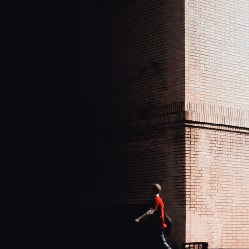 Rodrigo Bardin The Archive