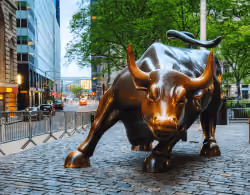 NY Bull Land