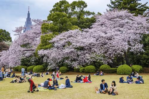 Ueno Onshi Park
