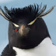 7339