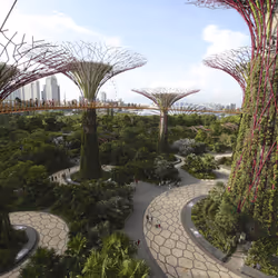 Gardens by the Bay