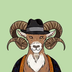 Goat #293