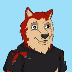 Wolf #386