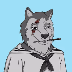 Wolf #806